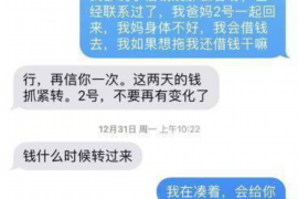 卫滨为什么选择专业追讨公司来处理您的债务纠纷？